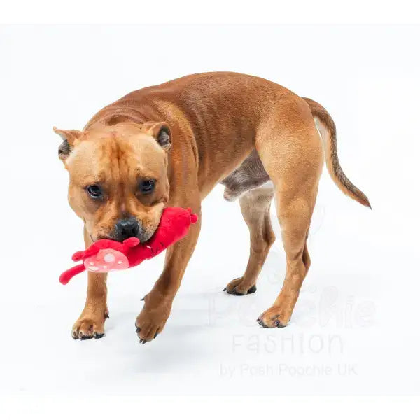 Meat Heads Pepper Toni Dog Toy by Fuzzyard - Fuzzyard - 3