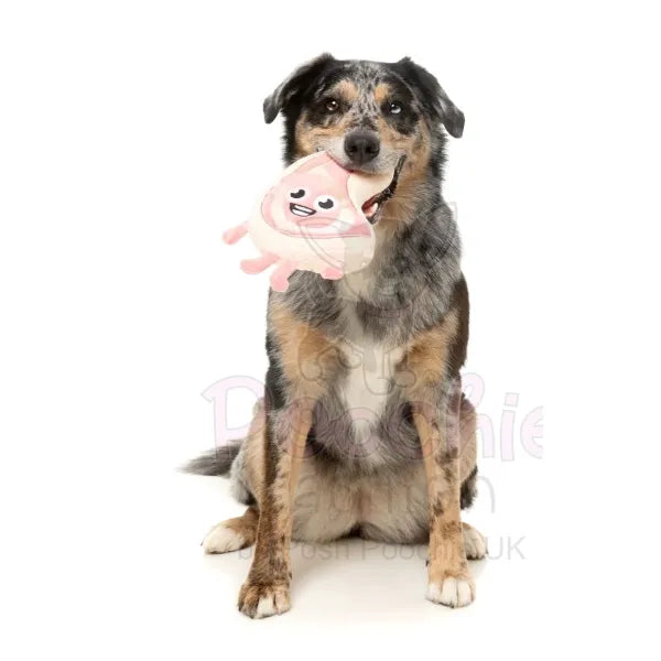 Meat Heads Piggy Smalls Dog Toy by Fuzzyard - Fuzzyard - 3