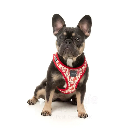 Meat Heads Step in Dog Harness by Fuzzyard - Fuzzyard - 2