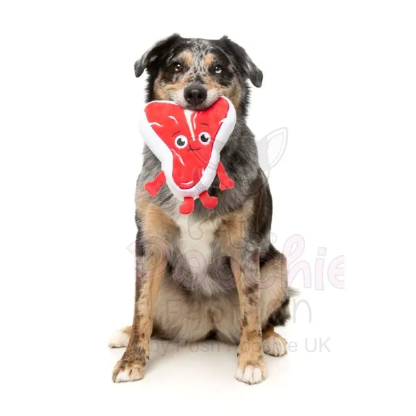 Meat Heads Tim Tee-bowne Dog Toy by Fuzzyard - Fuzzyard - 3