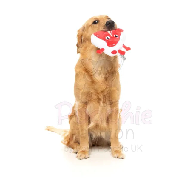 Meat Heads Tim Tee-bowne Dog Toy by Fuzzyard - Fuzzyard - 5