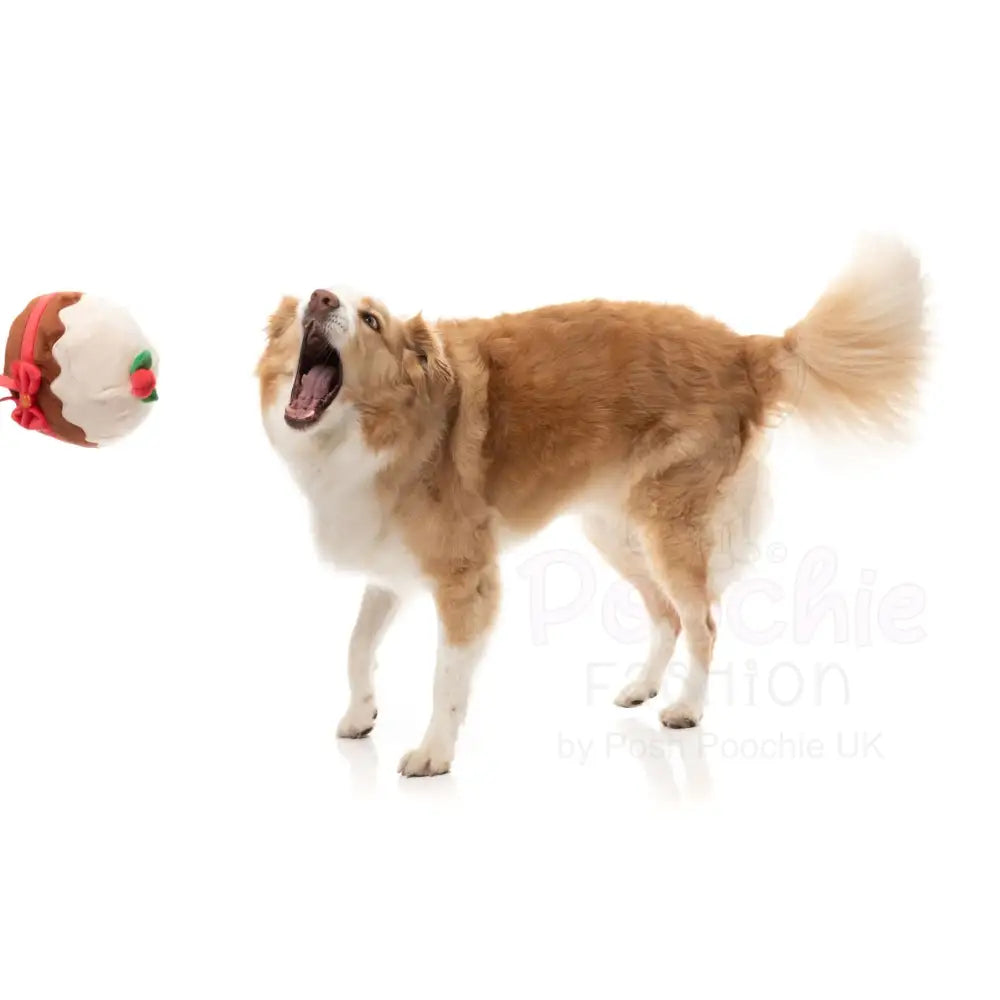 Merry Puddin Dog Toy by Fuzzyard - Fuzzyard - 3