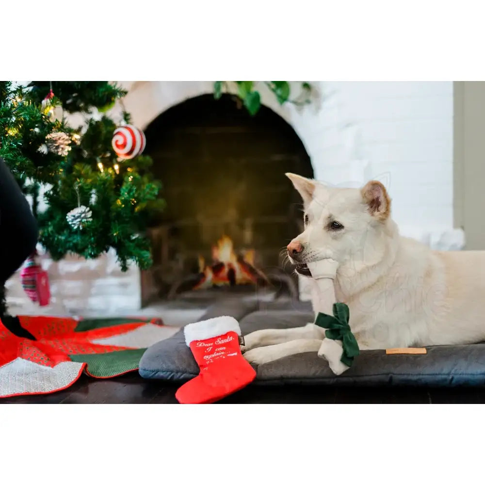 Merry Woofmas Good Dog Stocking & Bone Dog Toy by P.l.a.y - P.l.a.y - 5