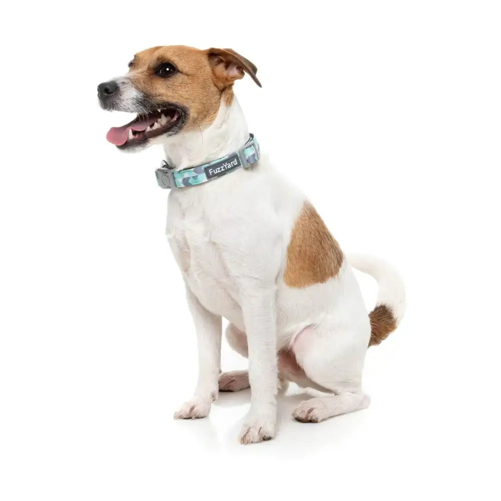 Mint Fizz Dog Collar by Fuzzyard - Fuzzyard - 2