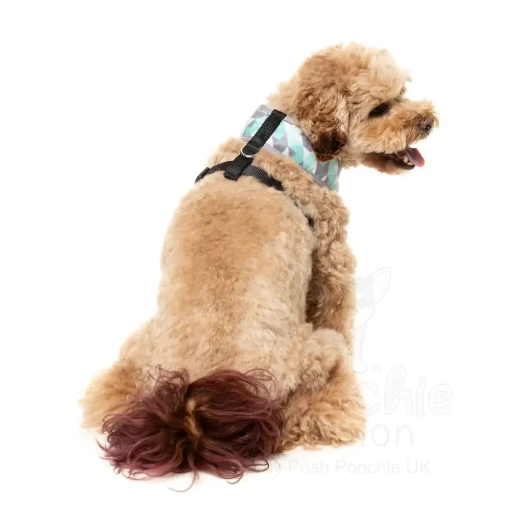 Mint Fizz Dog Harness by Fuzzyard - Fuzzyard - 5