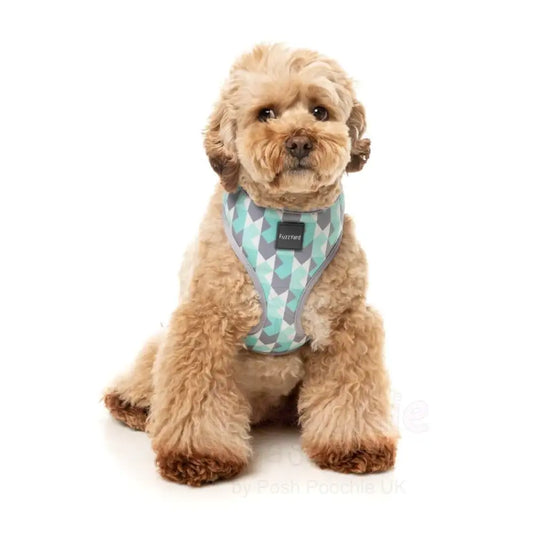 Mint Fizz Dog Harness by Fuzzyard - Fuzzyard - 2