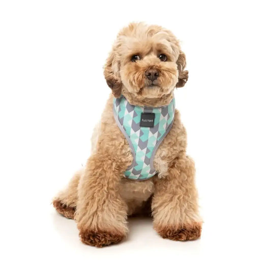 Mint Fizz Dog Harness by Fuzzyard - Fuzzyard - 2