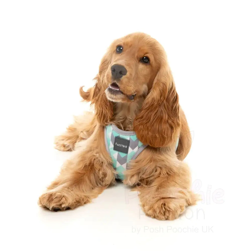 Mint Fizz Step in Dog Harness by Fuzzyard - Fuzzyard - 7