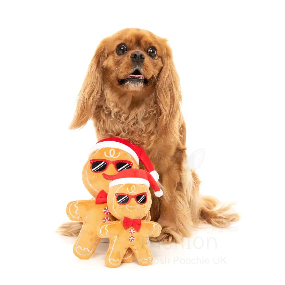 Mr Gingerbread Dog Toy by Fuzzyard - Fuzzyard - 2