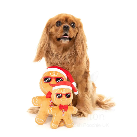 Mr Gingerbread Dog Toy by Fuzzyard - Fuzzyard - 2