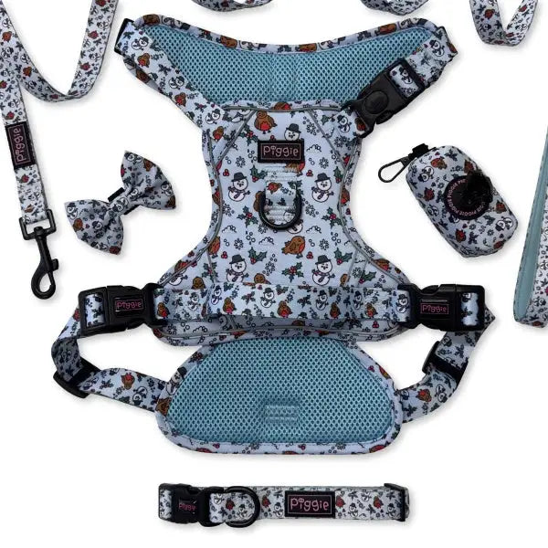 Mr Robin Explorer Dog Harness - Piggie - 6