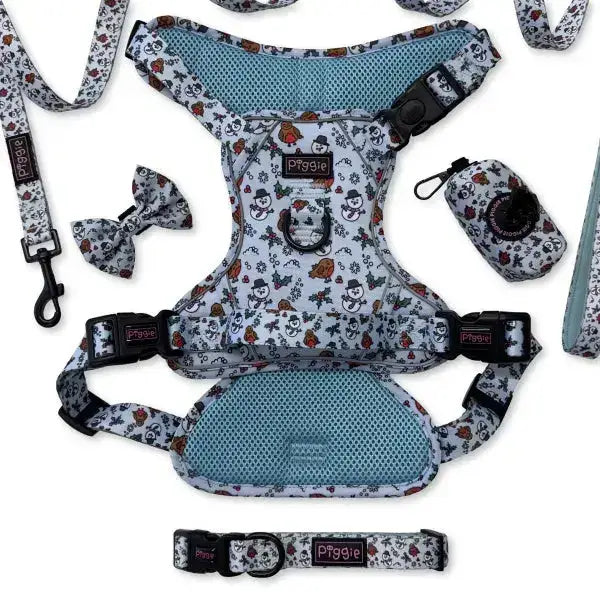 Mr Robin Festive Dog Lead - Piggie - 4