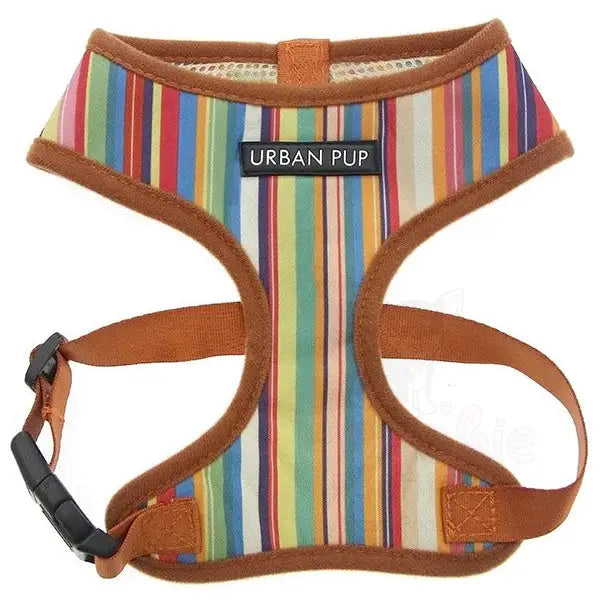 Multi Striped Designer Dog Harness - Sale - 3