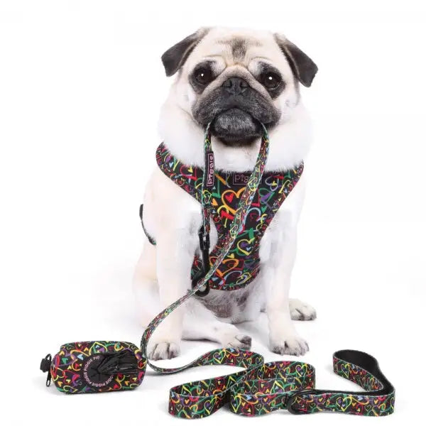 Neon Love Adjustable Neck Dog Harness - Piggie - 5