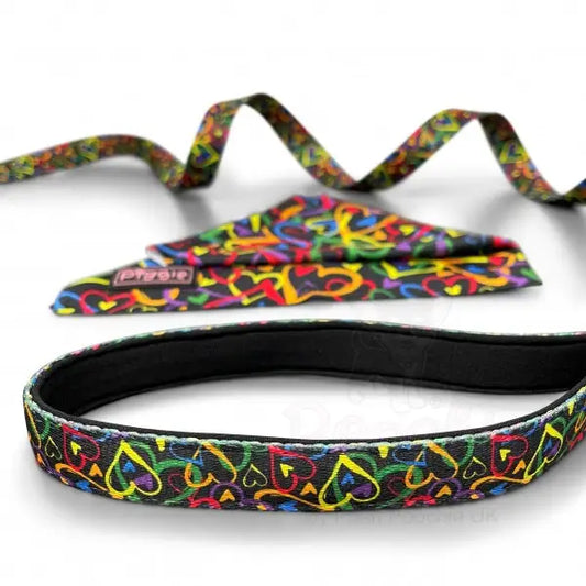 Neon Love Dog Lead - Piggie - 2