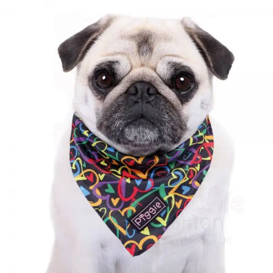 Neon Love Tie on Dog Bandana - Piggie - 2