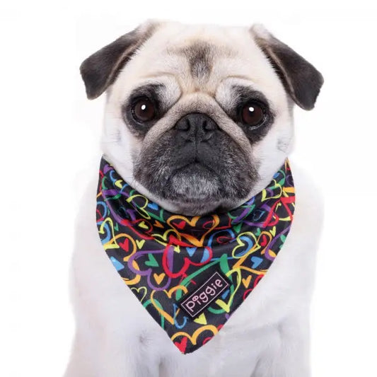 Neon Love Tie on Dog Bandana - Piggie - 2