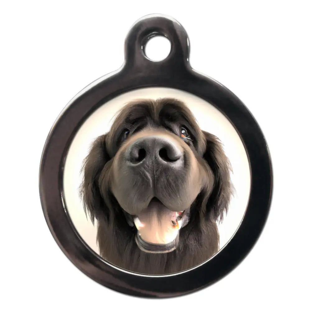 Newfoundland Fish Eye Lens Dog Id Tag - Ps Pet Tags - 1