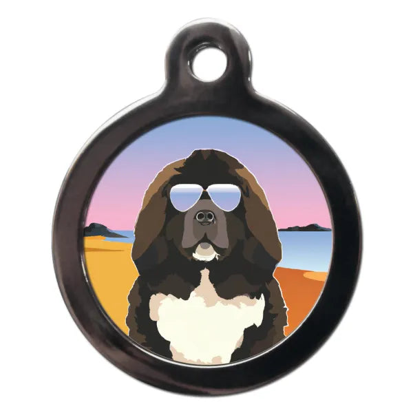 Newfoundland Summertime Dog Id Tag Ps Pet Tags 1