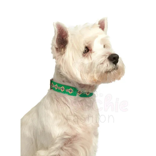 Northern Ireland Football Team Dog Collar - Urban - 2