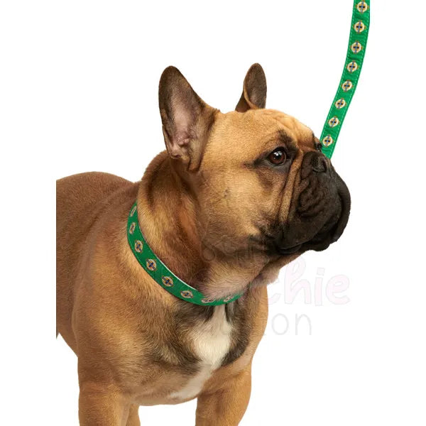 Northern Ireland Football Team Dog Collar - Urban - 3