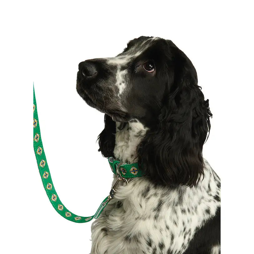 Northern Ireland Football Team Dog Lead - Sale - 4
