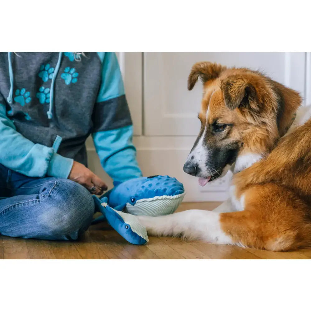 Ocean Buddies Big Blue & Baby Blue Whales Dog Toy by P.l.a.y - P.l.a.y - 7