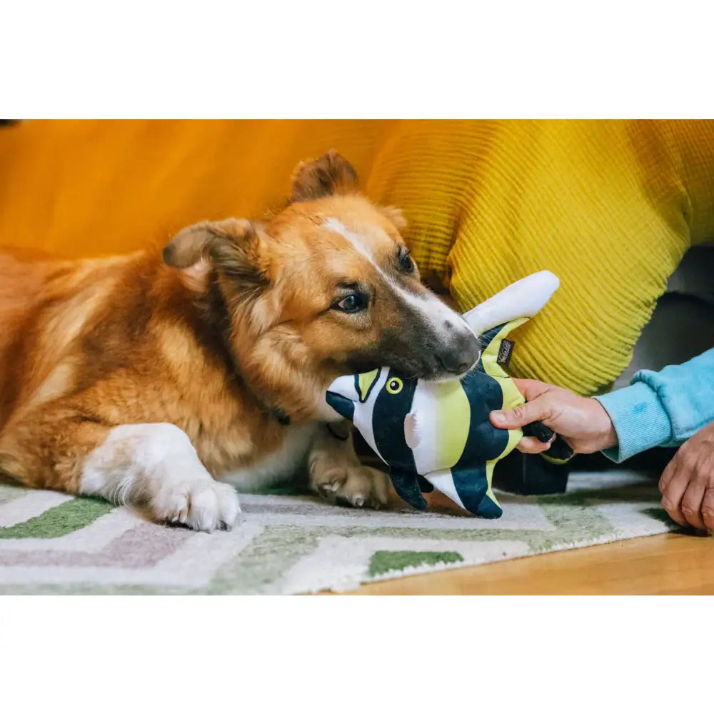 Ocean Buddies Coral Fish Moorish Idol Dog Toy by P.l.a.y - P.l.a.y - 5