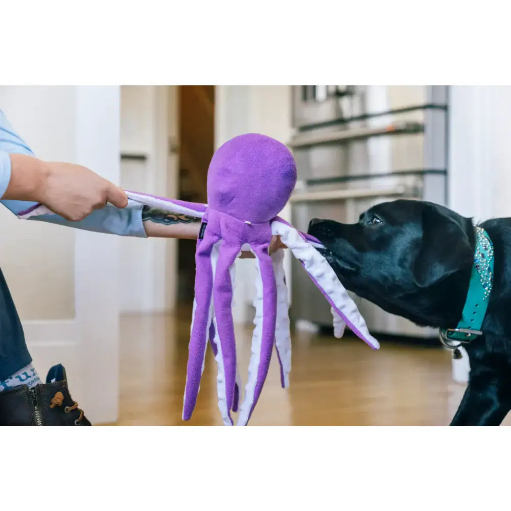 Ocean Buddies Octopus Large Dog Toy by P.l.a.y - P.l.a.y - 4