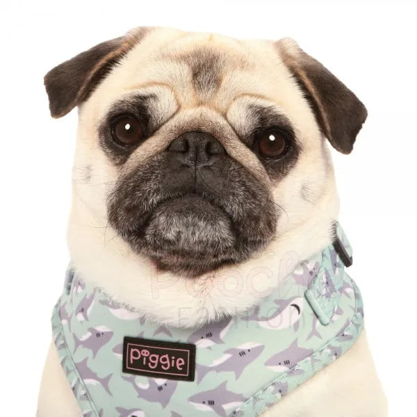 Ocean Predator Adjustable Dog Harness - Piggie - 3