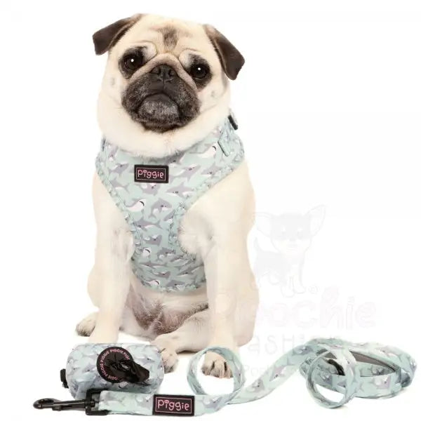 Ocean Predator Adjustable Neck Dog Harness - Piggie - 5