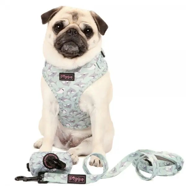 Ocean Predator Adjustable Neck Dog Harness - Piggie - 5
