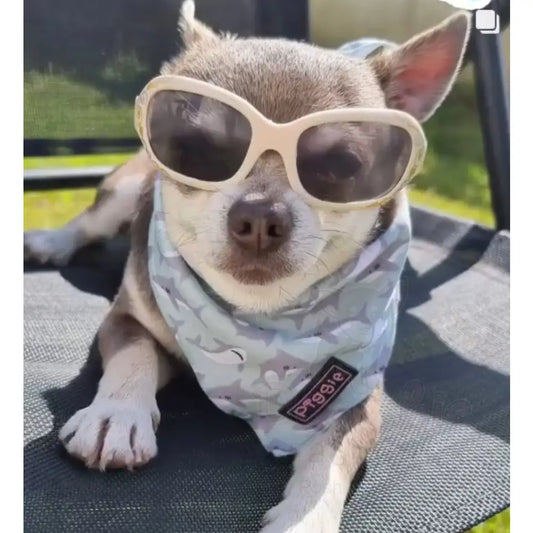 Ocean Predator Tie on Dog Bandana - Piggie - 2