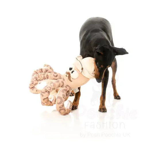 Octo Posse Dog Toy Sir David Octoborough by Fuzzyard - Fuzzyard - 2