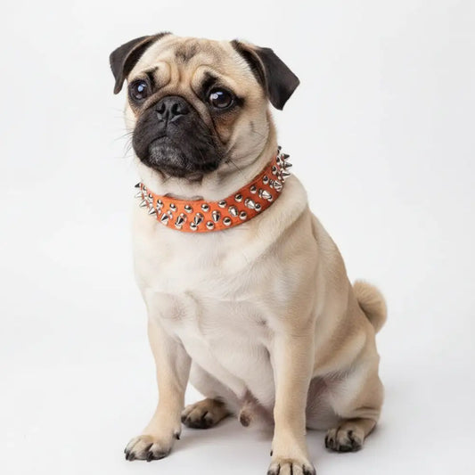 Orange Metro Spike Vegan Leather Dog Collar - Posh Pawz - 2