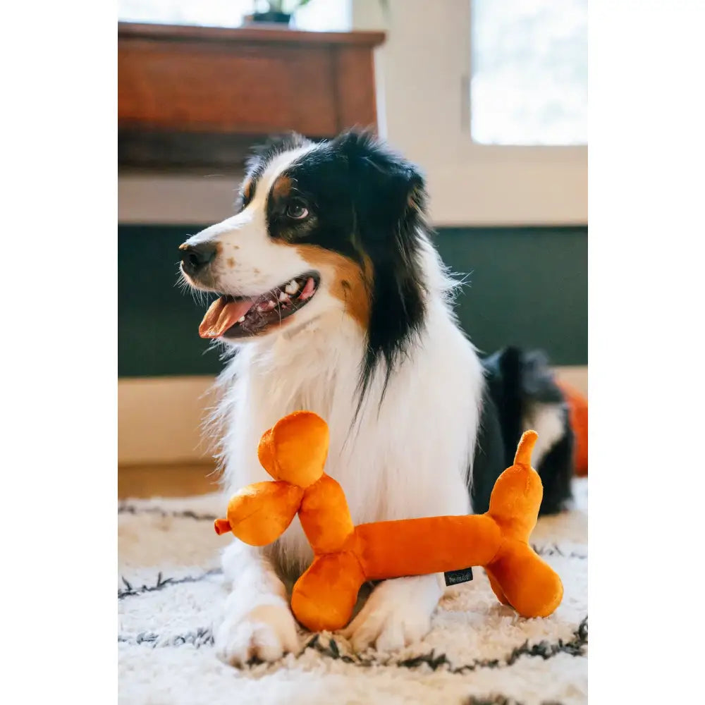 Party Animal Balloon Buddy Dog Toy by P.l.a.y - P.l.a.y - 6