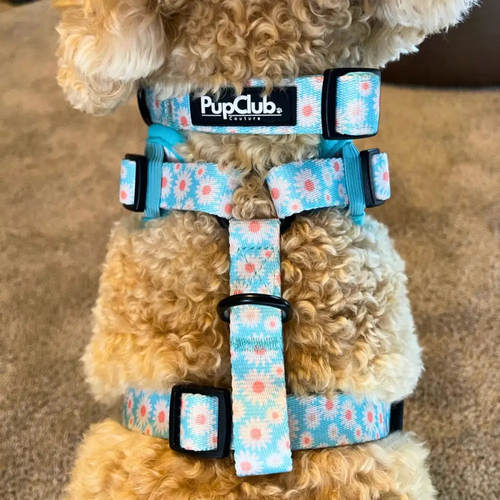 Pastel Daisy Dog Collar - Pupclub Couture - 4