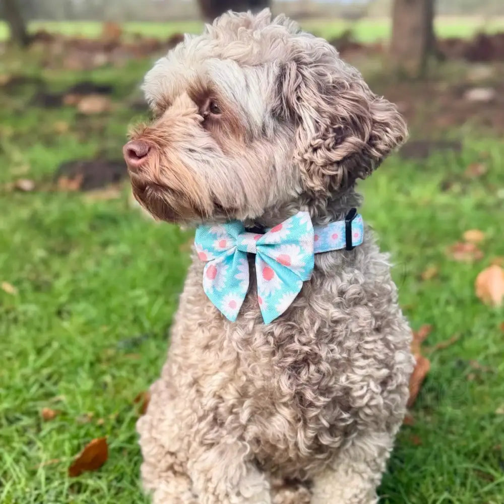 Pastel Daisy Dog Sailor Bow - Pupclub Couture - 2