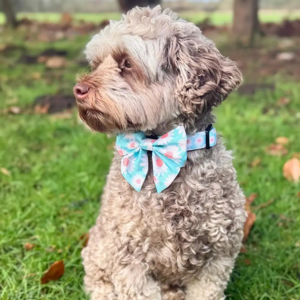 Pastel Daisy Dog Sailor Bow - Pupclub Couture - 2