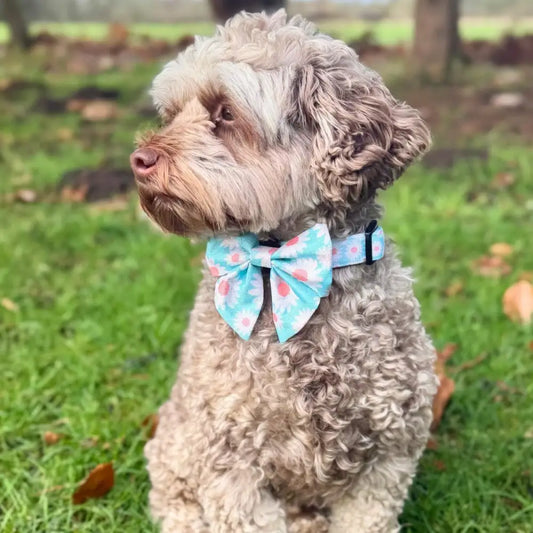 Pastel Daisy Dog Sailor Bow - Pupclub Couture - 2