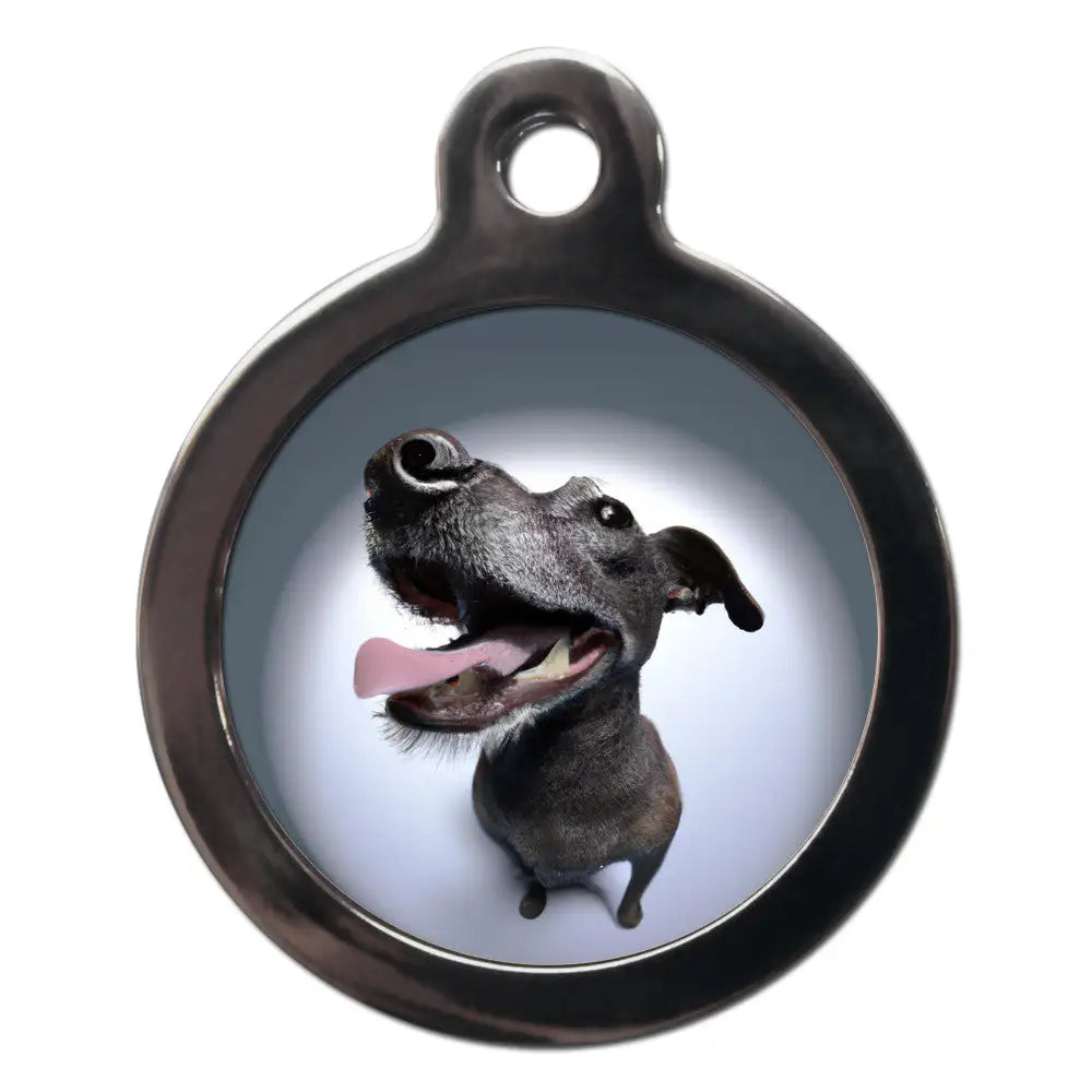 Patterdale Fish Eye Lens Dog Id Tag - Ps Pet Tags - 1