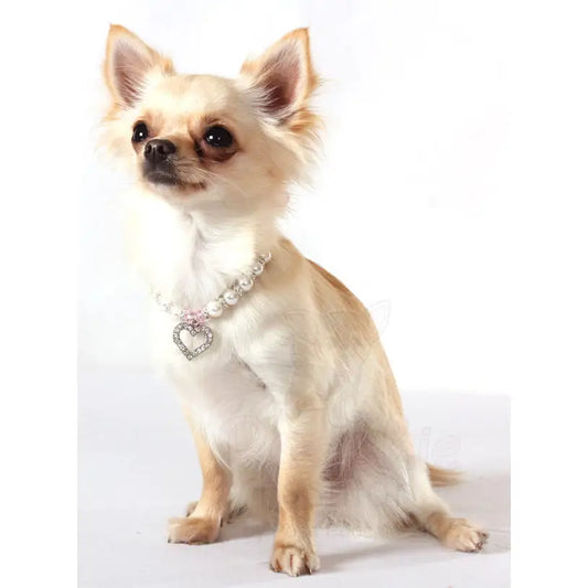 Pearl Heart Charm Pet Necklace - Urban - 2
