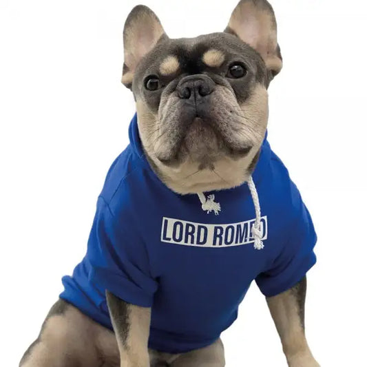 Personalised Name Dog Hoodies 12 Colours Rich Paw 2