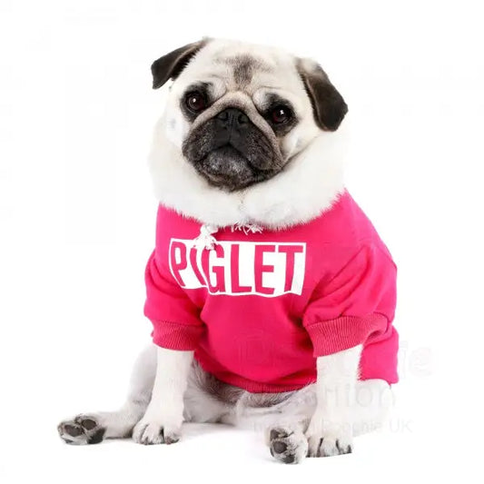 Personalised Name Dog Hoodies 12 Colours - Rich Paw - 2