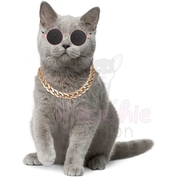 Pet Sunglasses & Chain Costume - Posh Catz - 4