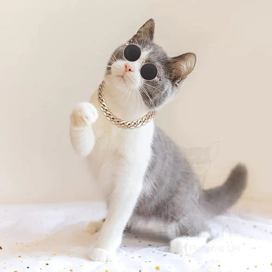 Pet Sunglasses & Chain Costume - Posh Catz - 2