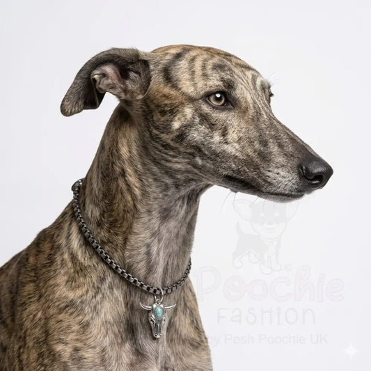 Pewter Box Chain Dog Necklace with Bull Skull Pendant - Posh Pawz - 2