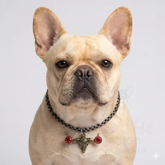 Pewter Box Chain Dog Necklace with Bull Skull Pendant - Red Crystals - Posh Pawz - 2