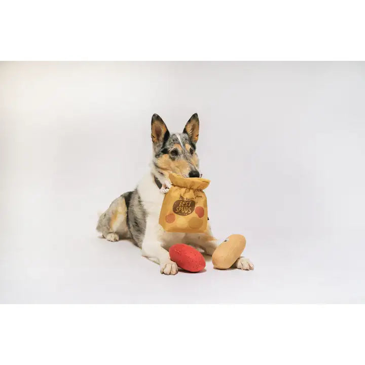 Picked Fresh Potato Pals Dog Toy by P.l.a.y - P.l.a.y - 6