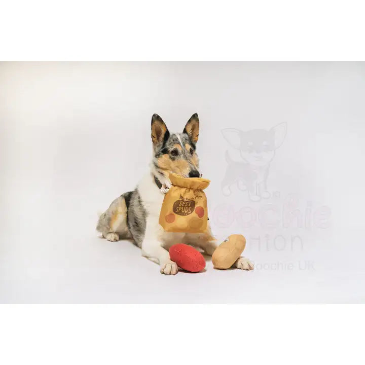 Picked Fresh Potato Pals Dog Toy by P.l.a.y - P.l.a.y - 6